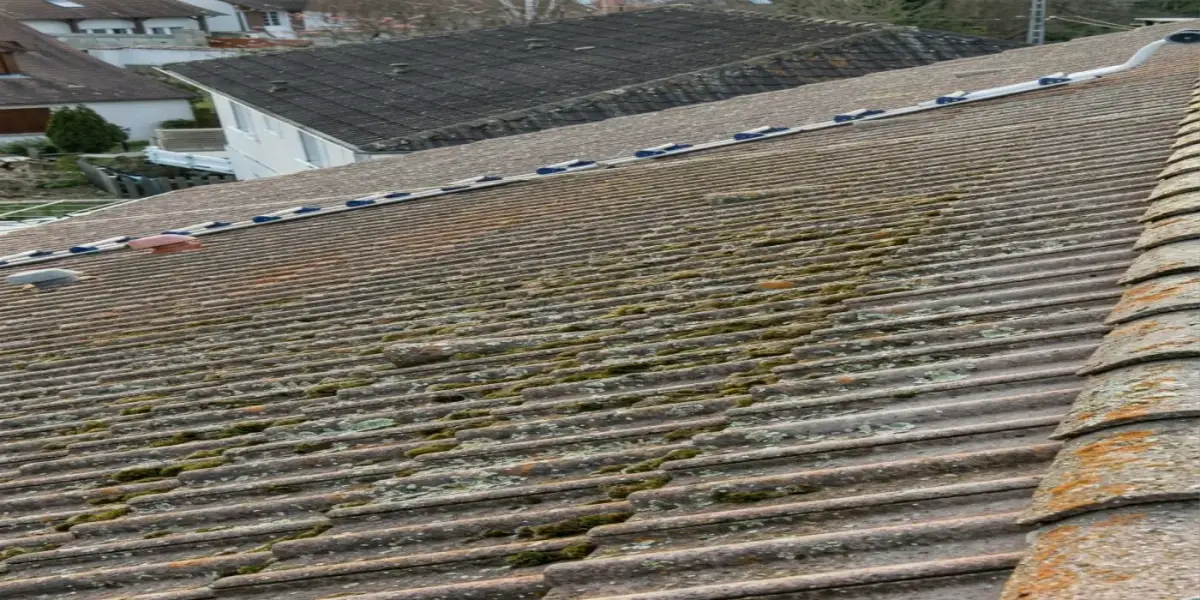 Nettoyage de toiture à Yvelines — avant (chantier 1)